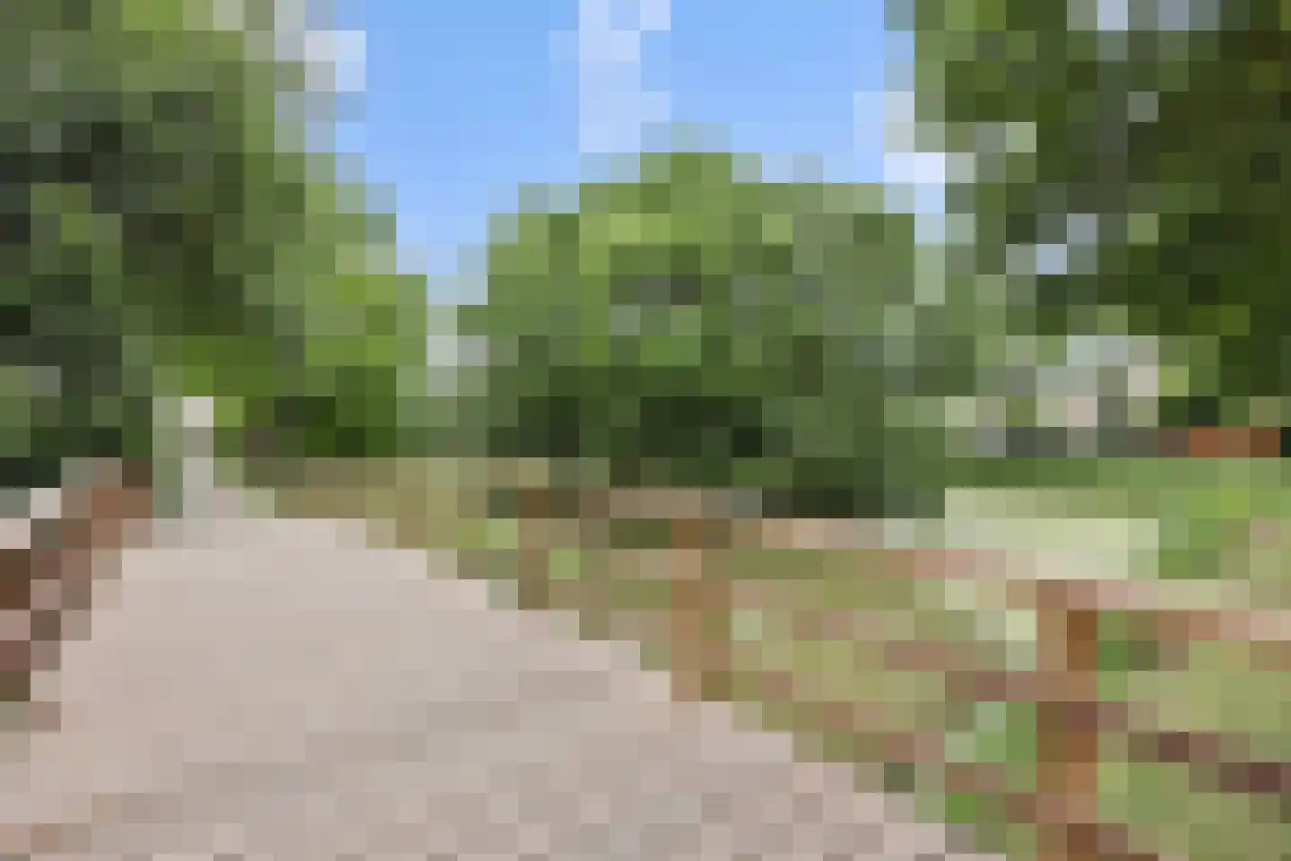 Zwartbroekweg 382 's-Hertogenbosch thumbnail 28