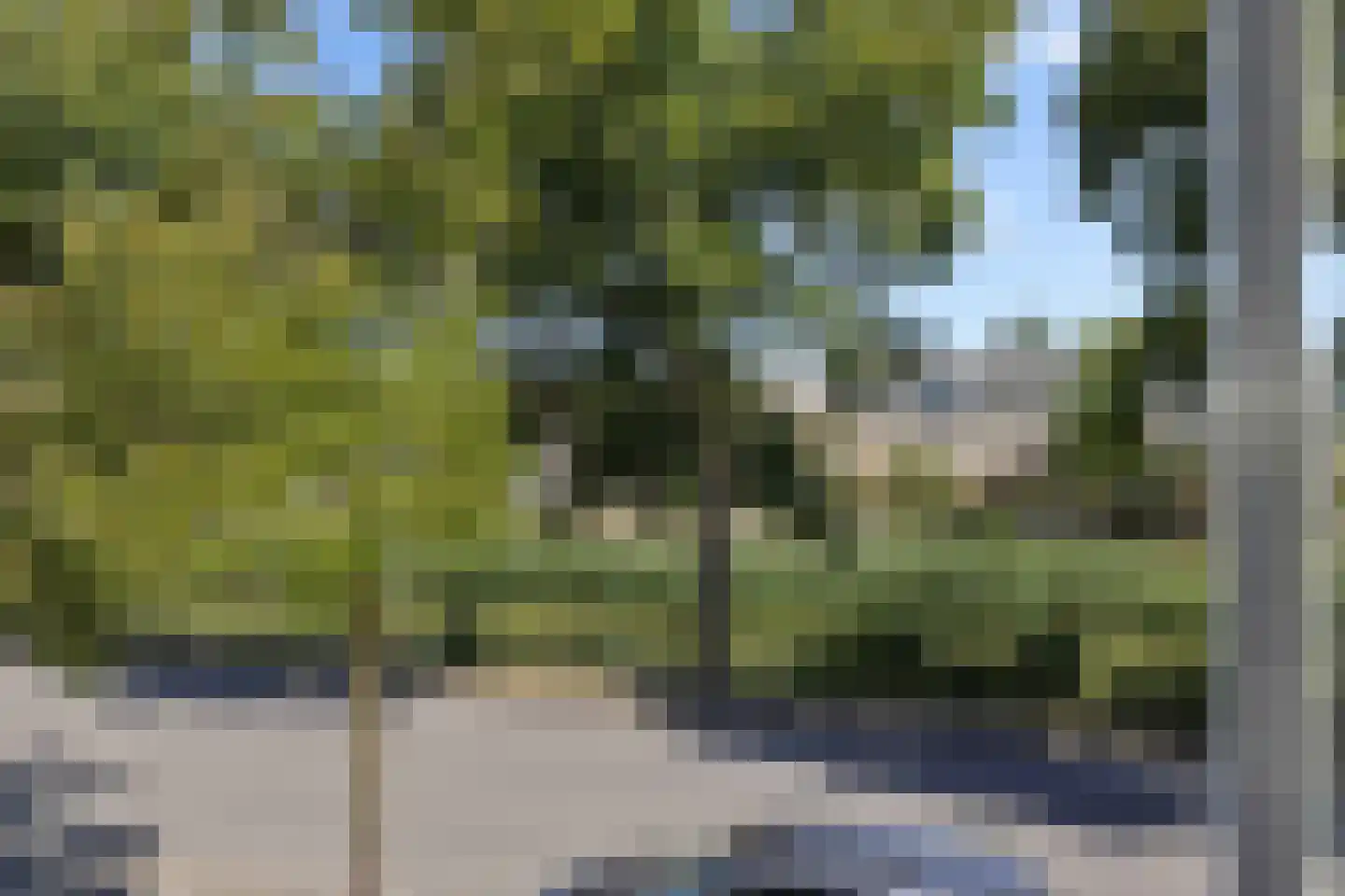 Zwartbroekweg 400 's-Hertogenbosch thumbnail 18