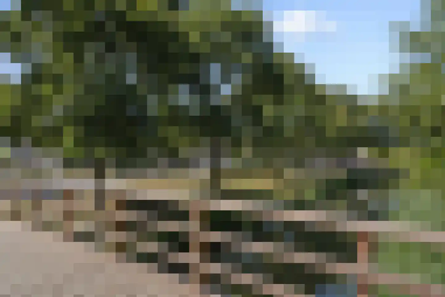 Zwartbroekweg 400 's-Hertogenbosch thumbnail 4