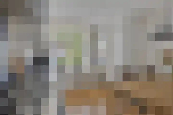 Zwartbroekweg 44 's-Hertogenbosch thumbnail 16