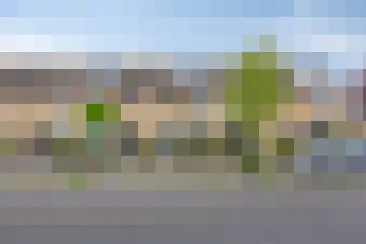 Zwartbroekweg 44 's-Hertogenbosch thumbnail 8