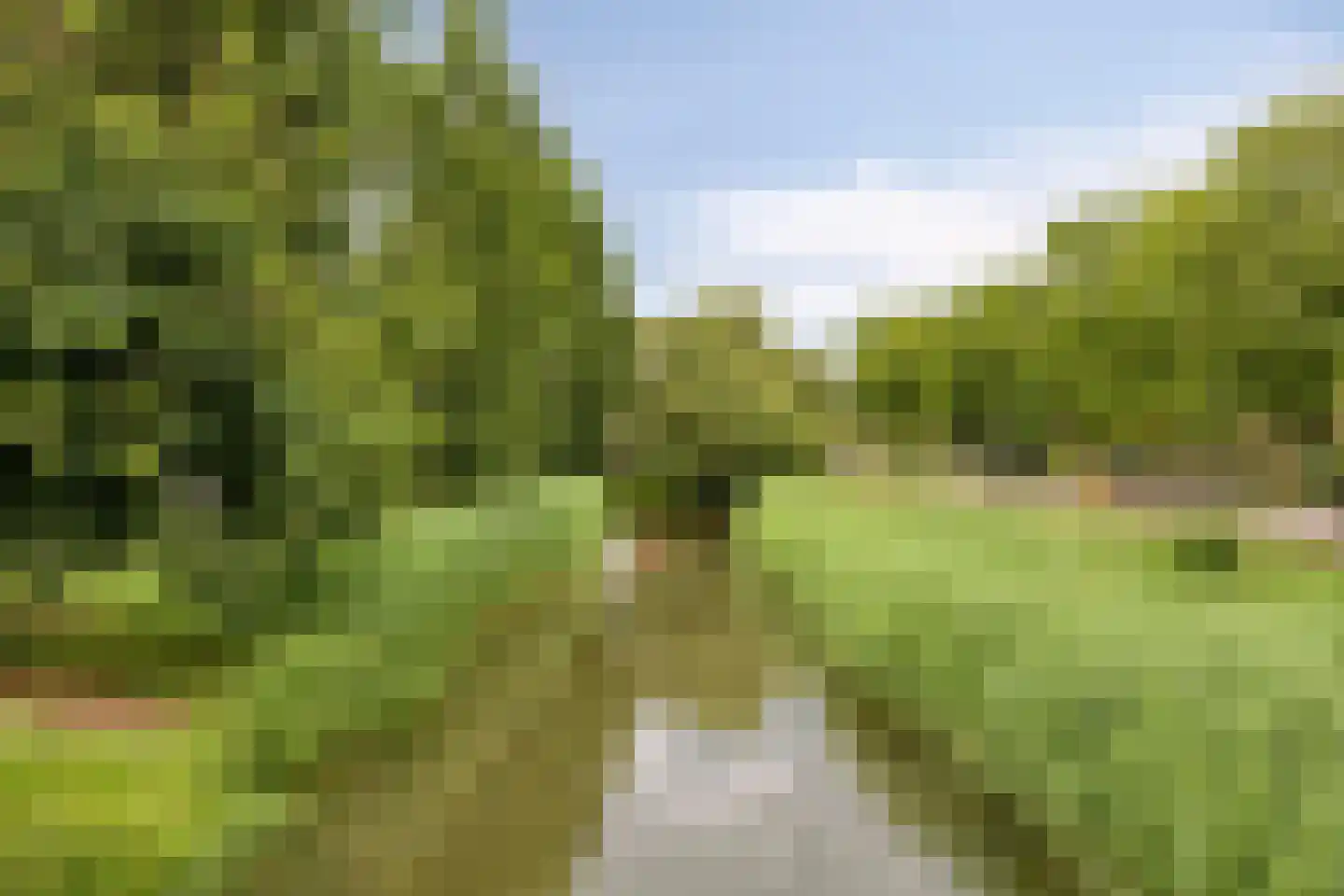 Zwartbroekweg 440 's-Hertogenbosch thumbnail 50