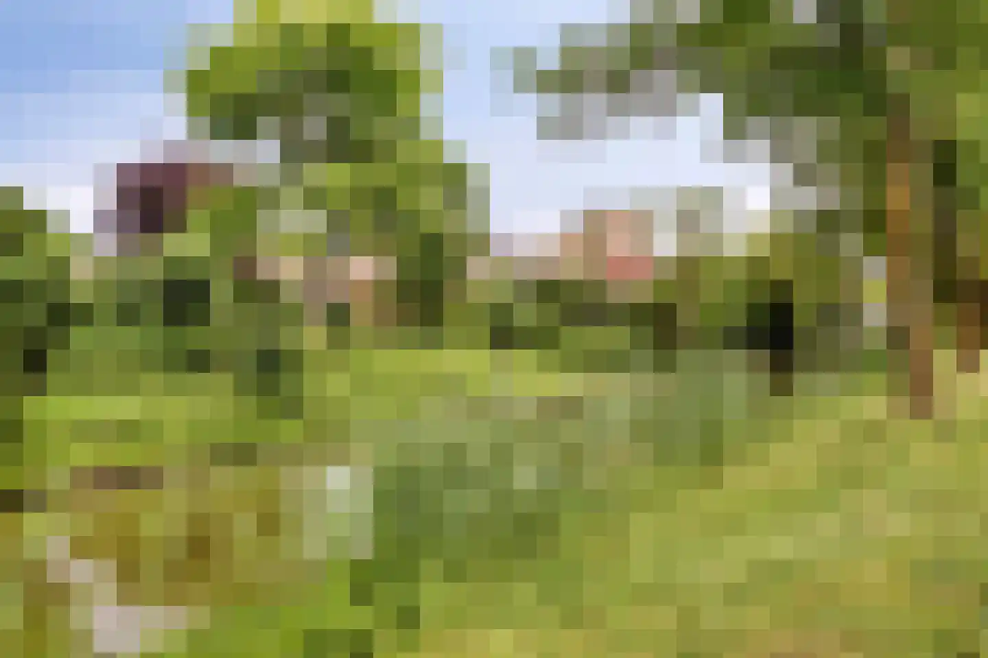 Zwartbroekweg 440 's-Hertogenbosch thumbnail 52