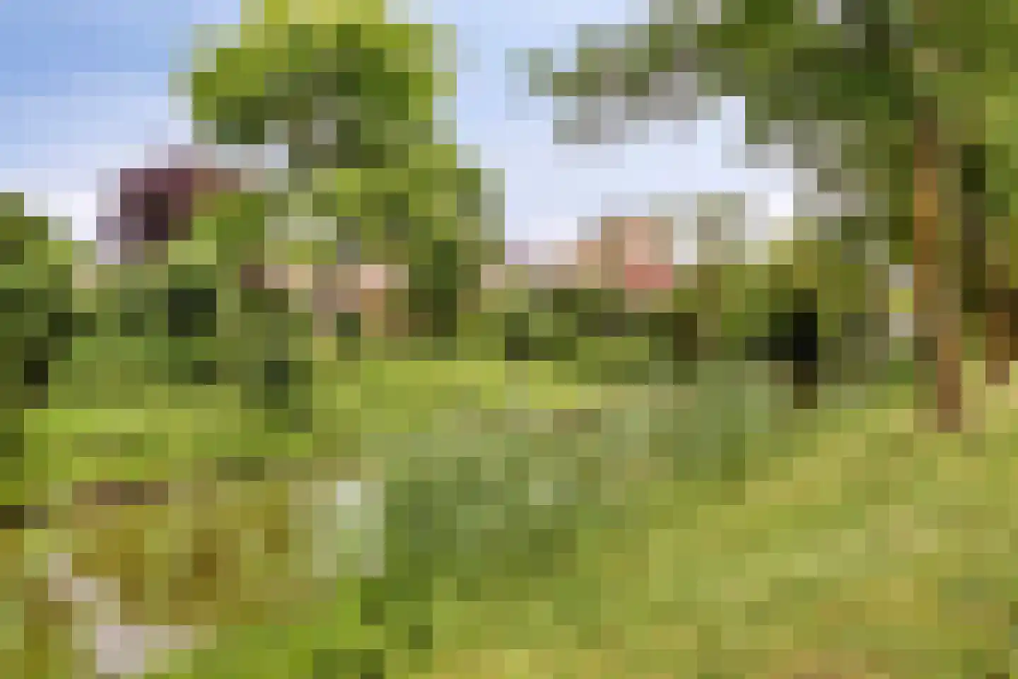 Zwartbroekweg 440 's-Hertogenbosch thumbnail 52