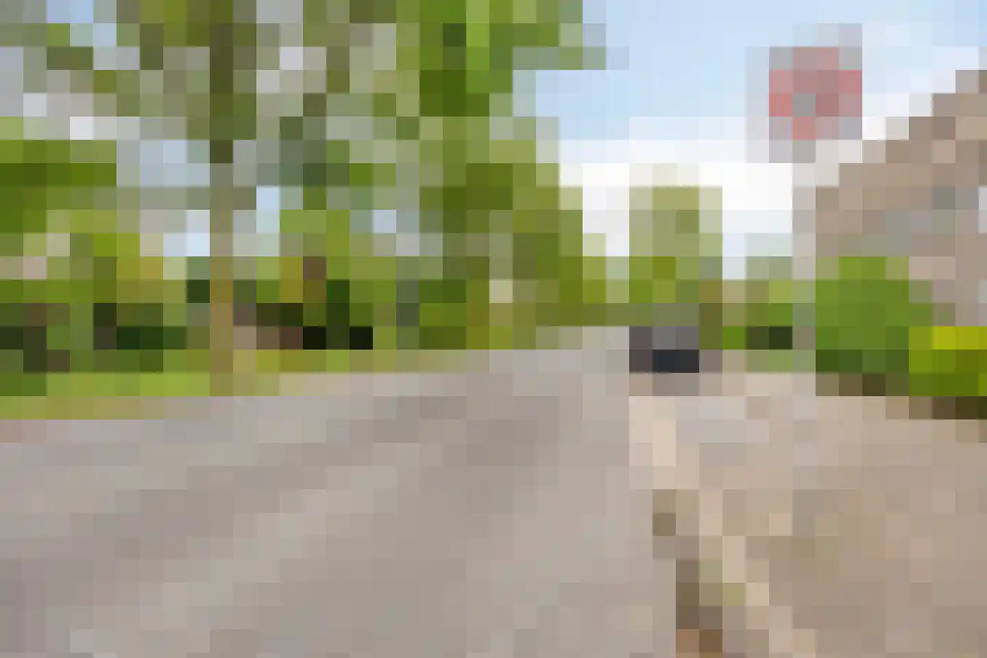 Zwartbroekweg 440 's-Hertogenbosch thumbnail 53