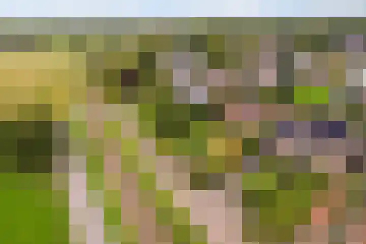 Zwarte Bergweg 13 Lieren thumbnail 4