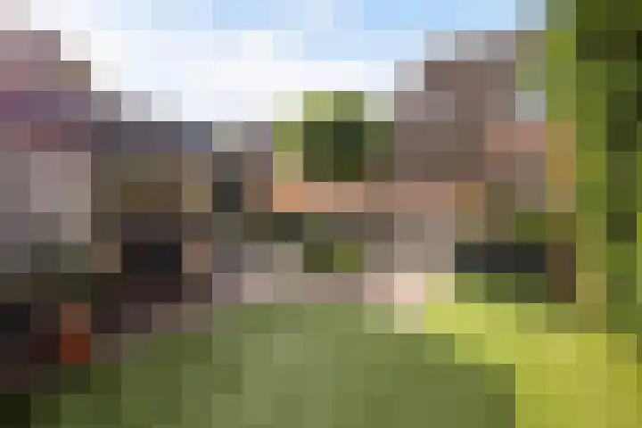 Zwarte Bergweg 13 Lieren thumbnail 43