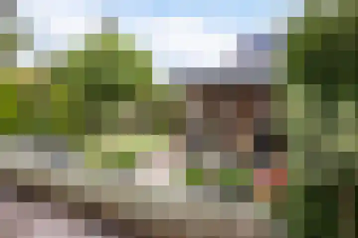 Zwarte Bergweg 13 Lieren thumbnail 44