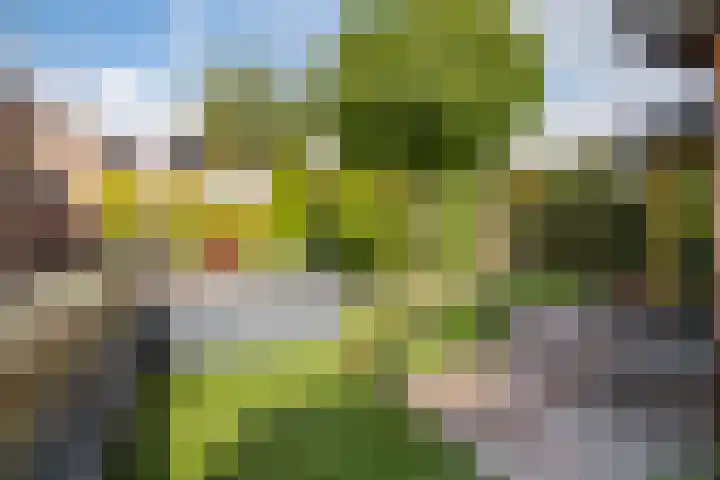 Zwarte Bergweg 13 Lieren thumbnail 54