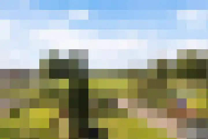 Zwarte Bergweg 13 Lieren thumbnail 56