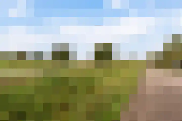 Zwarte Bergweg 13 Lieren thumbnail 58