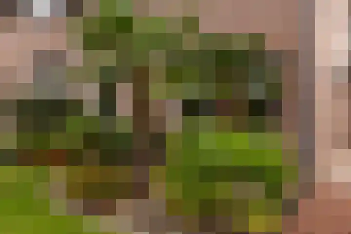 Zwarte Bergweg 13 Lieren thumbnail 6