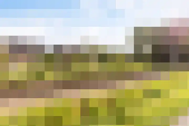 Zwarte Bergweg 13 Lieren thumbnail 60