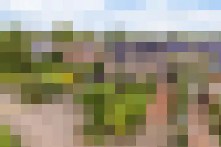 Zwarte Bergweg 13 Lieren thumbnail 63