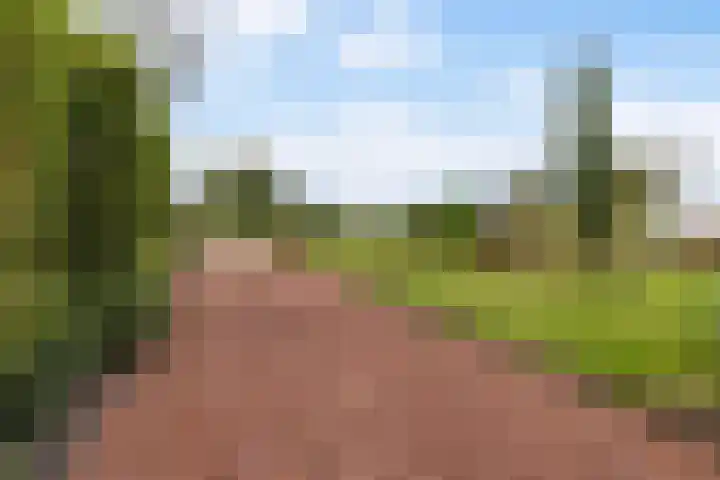 Zwarte Bergweg 13 Lieren thumbnail 7