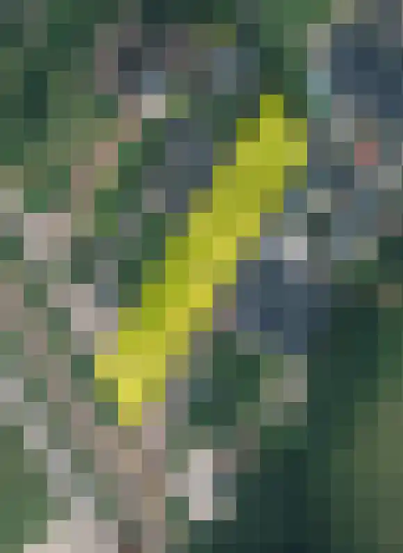 Zwarte Bergweg 13 Lieren thumbnail 74