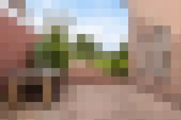 Zwarte Bergweg 13 Lieren thumbnail 9