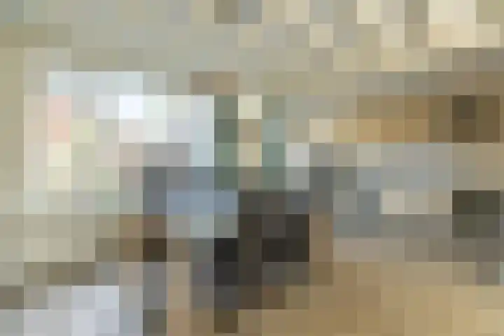Zwarte Berk 18 Zundert thumbnail 14