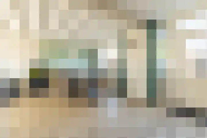 Zwarte Berk 18 Zundert thumbnail 17