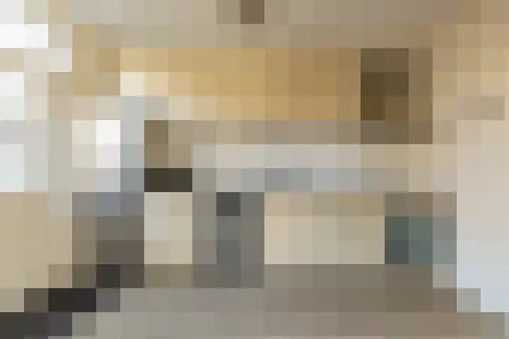 Zwarte Berk 18 Zundert thumbnail 18