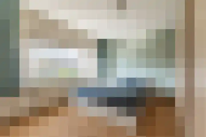 Zwarte Berk 18 Zundert thumbnail 20