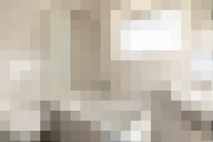Zwarte Berk 18 Zundert thumbnail 27