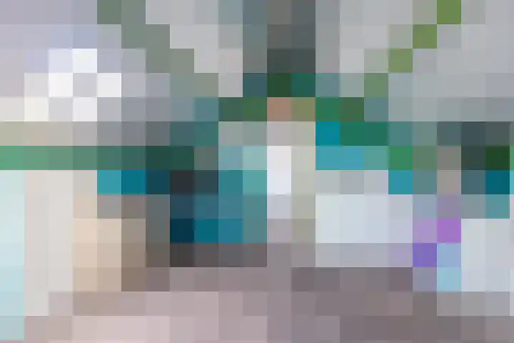 Zwarte Berk 18 Zundert thumbnail 31