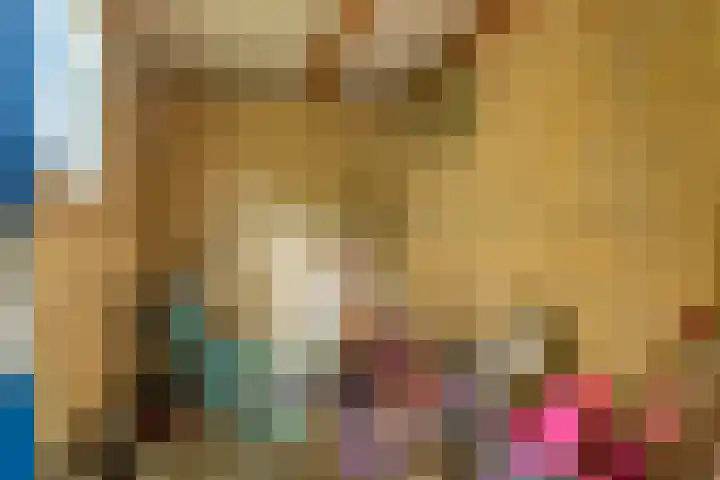 Zwarte Berk 18 Zundert thumbnail 34
