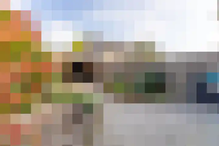 Zwarte Berk 18 Zundert thumbnail 40