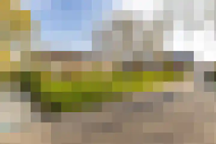 Zwarte Berk 18 Zundert thumbnail 8