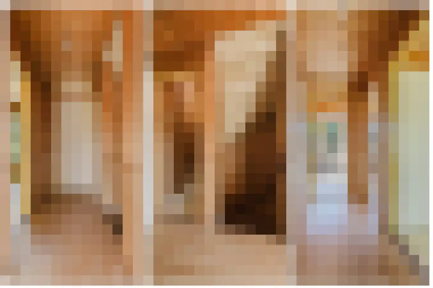 Zwarte Berk 4 Zundert thumbnail 13