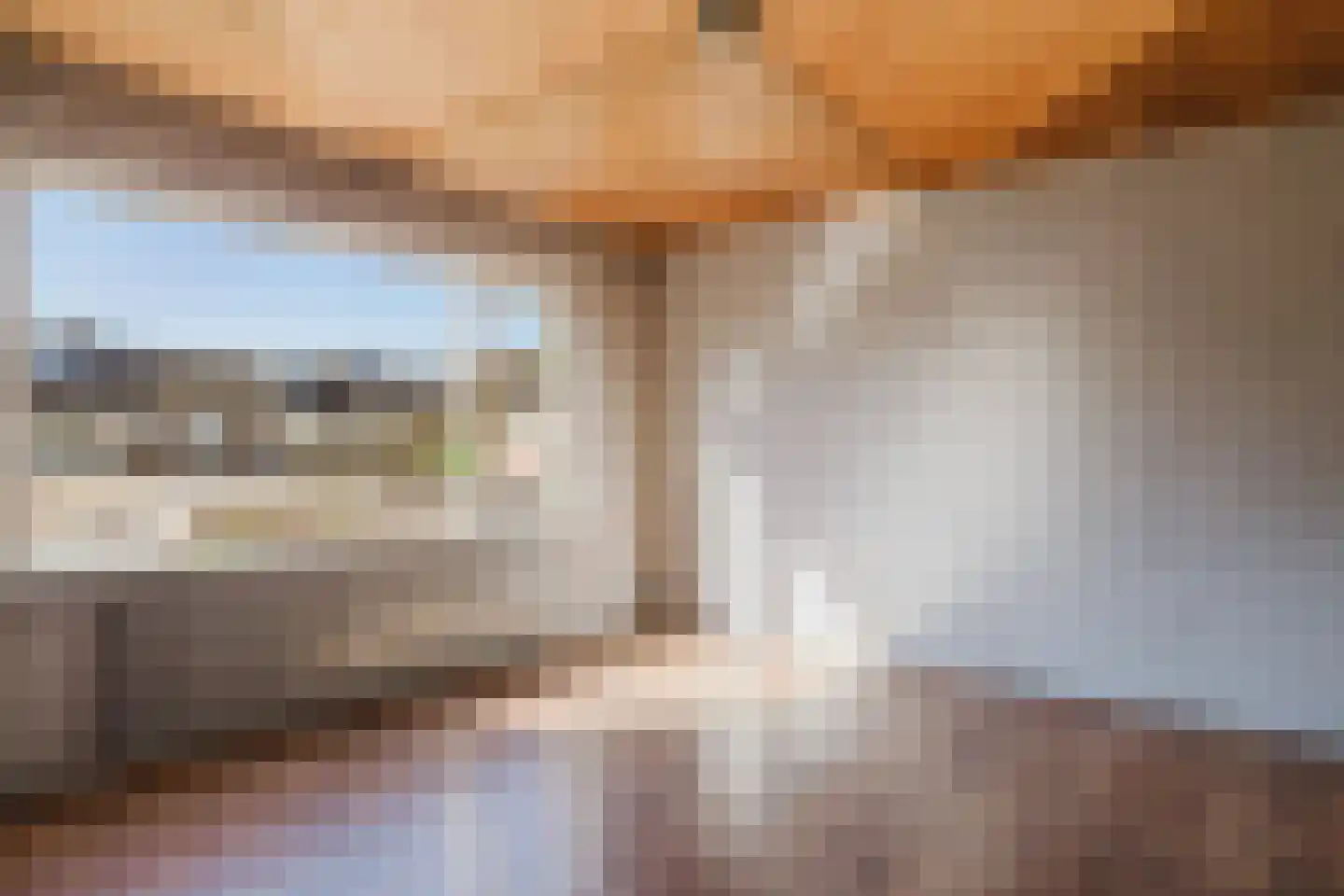 Zwarte Berk 4 Zundert thumbnail 17