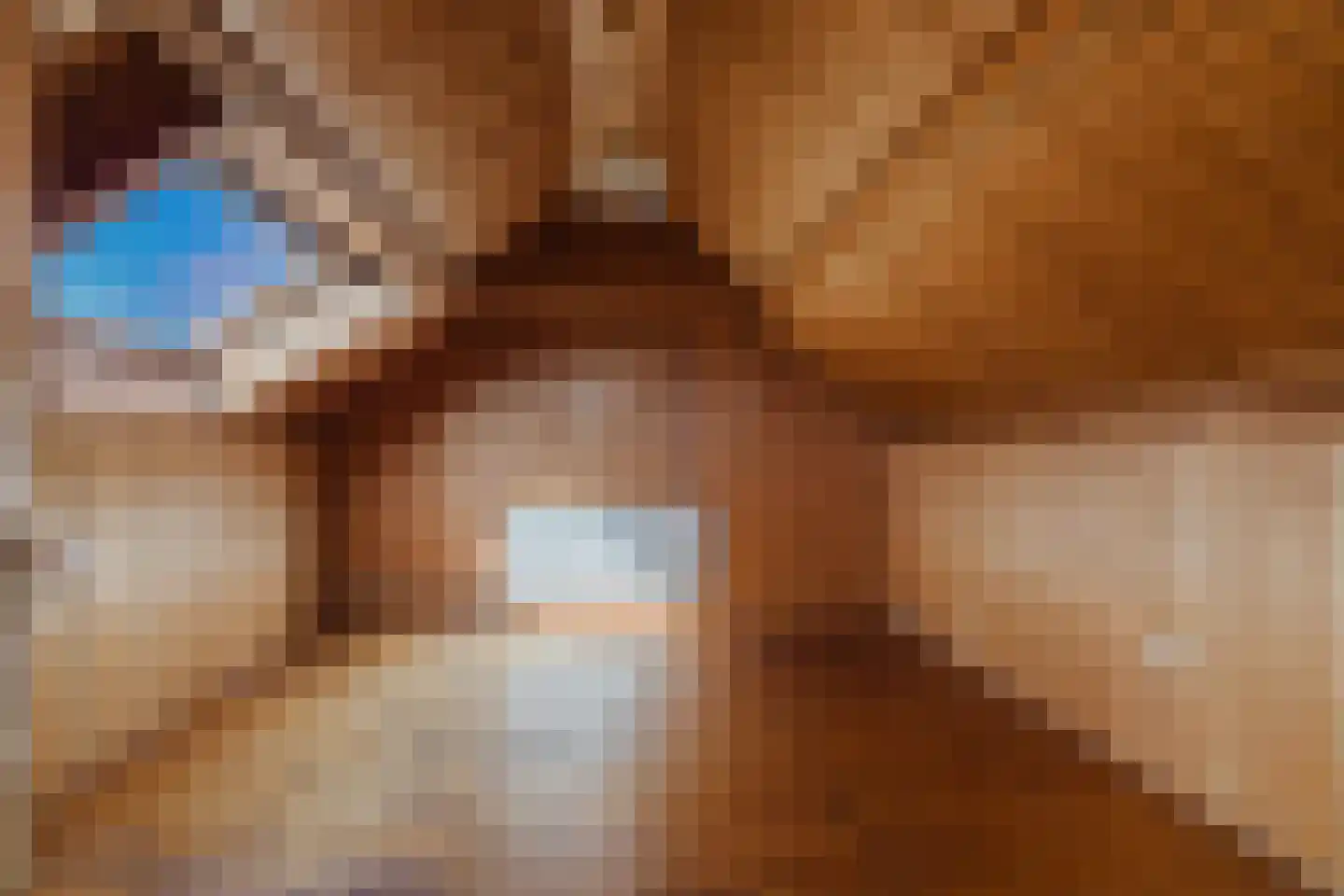 Zwarte Berk 4 Zundert thumbnail 24