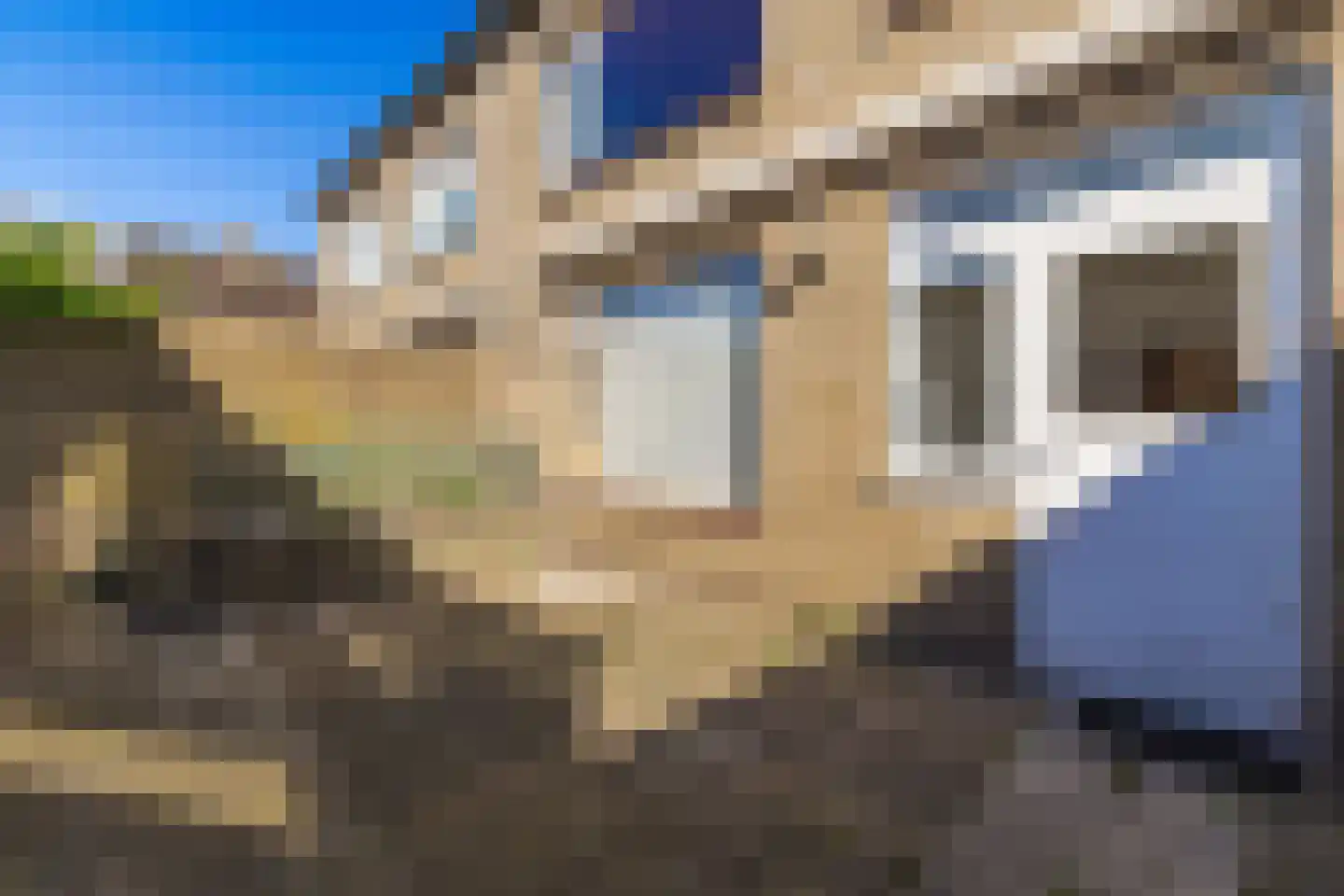 Zwarte Berk 4 Zundert thumbnail 28
