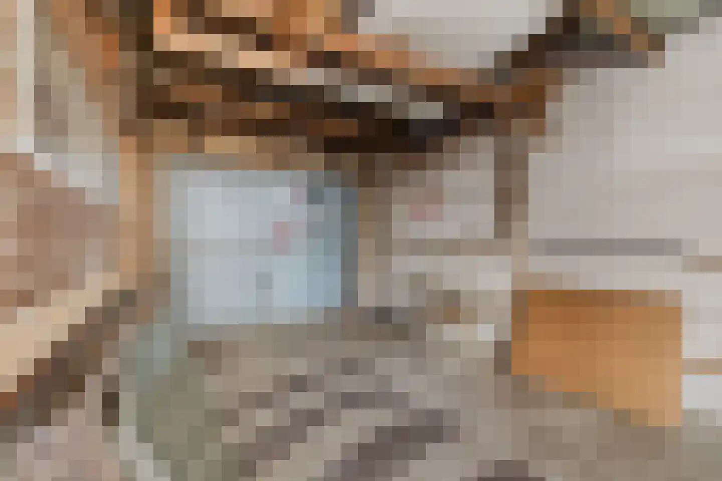 Zwarte Berk 4 Zundert thumbnail 30