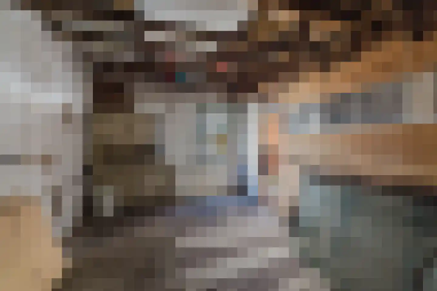 Zwarte Berk 4 Zundert thumbnail 32