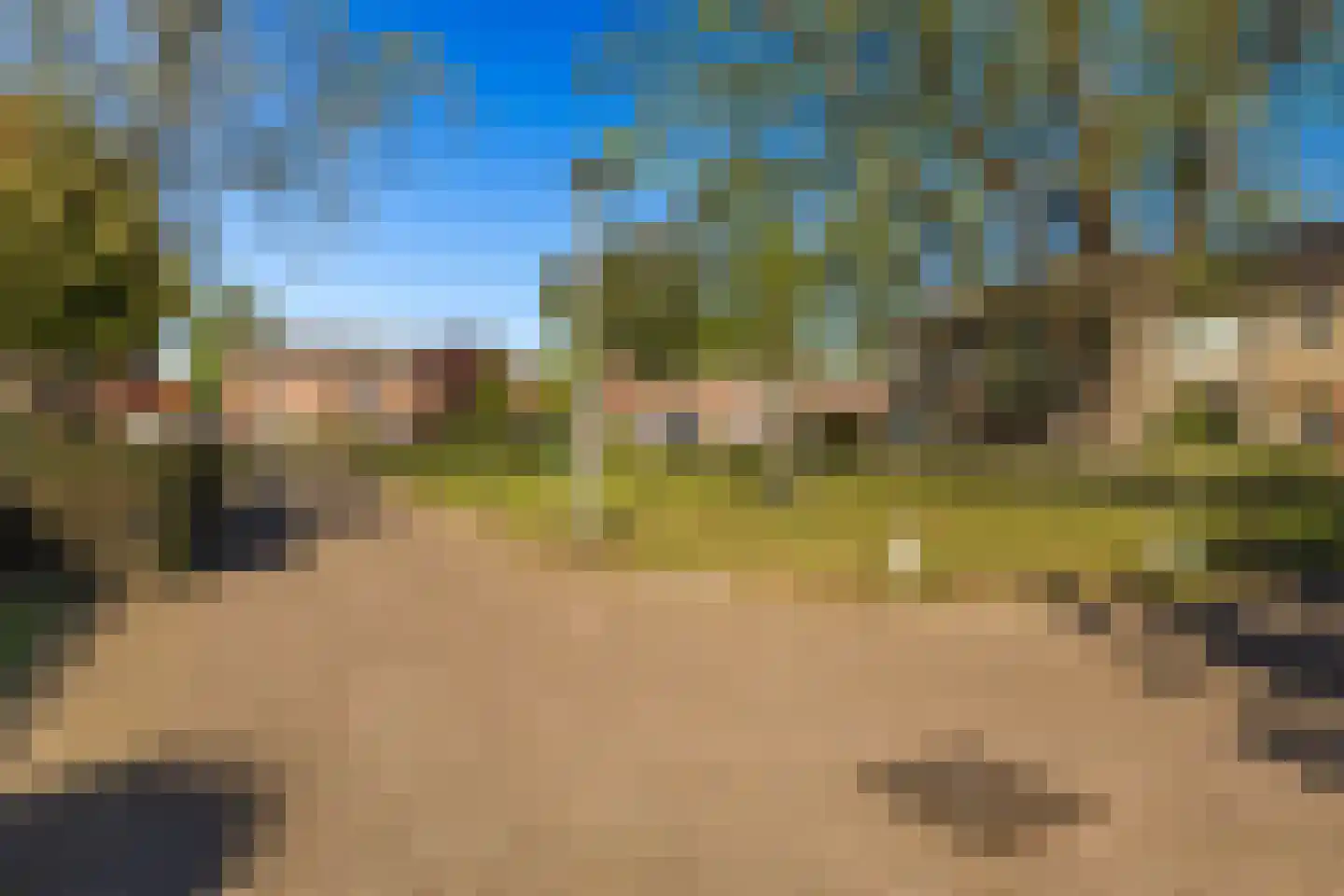 Zwarte Berk 4 Zundert thumbnail 34
