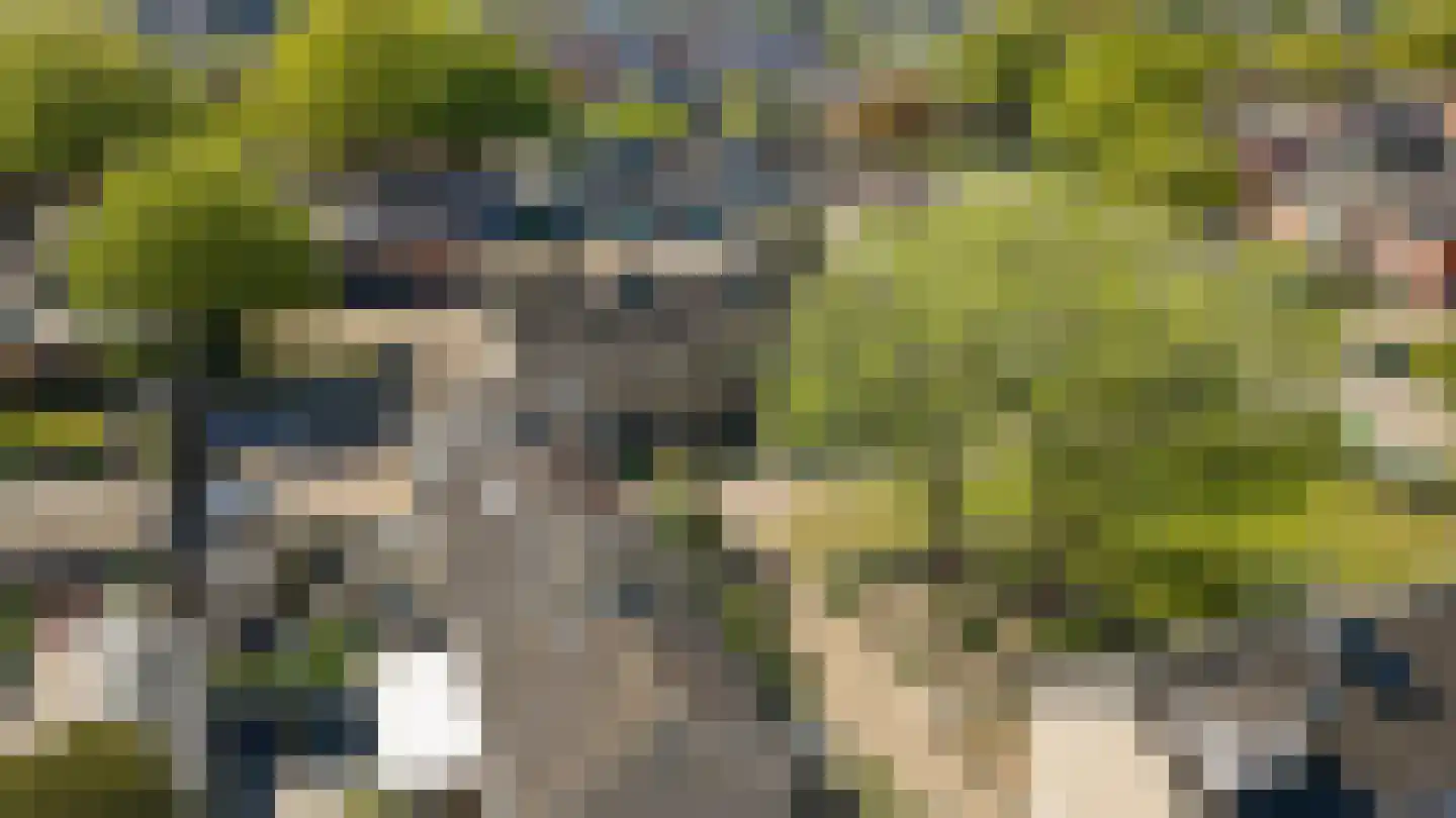 Zwarte Berk 4 Zundert thumbnail 38