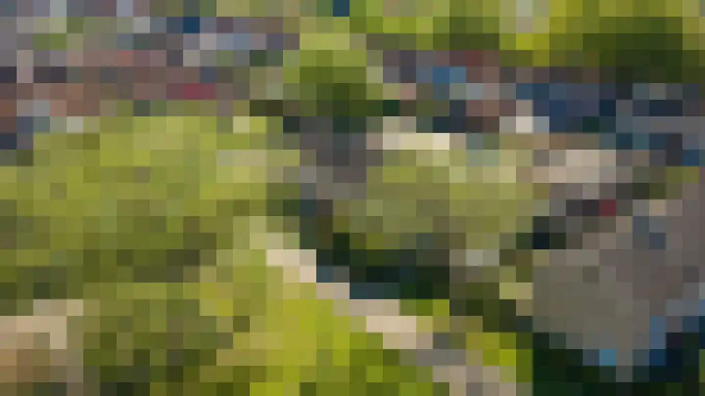 Zwarte Berk 4 Zundert thumbnail 39