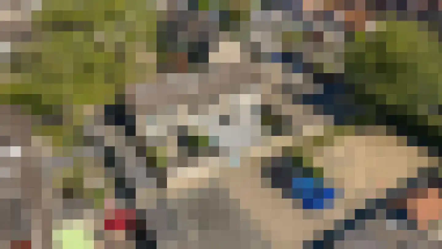 Zwarte Berk 4 Zundert thumbnail 40