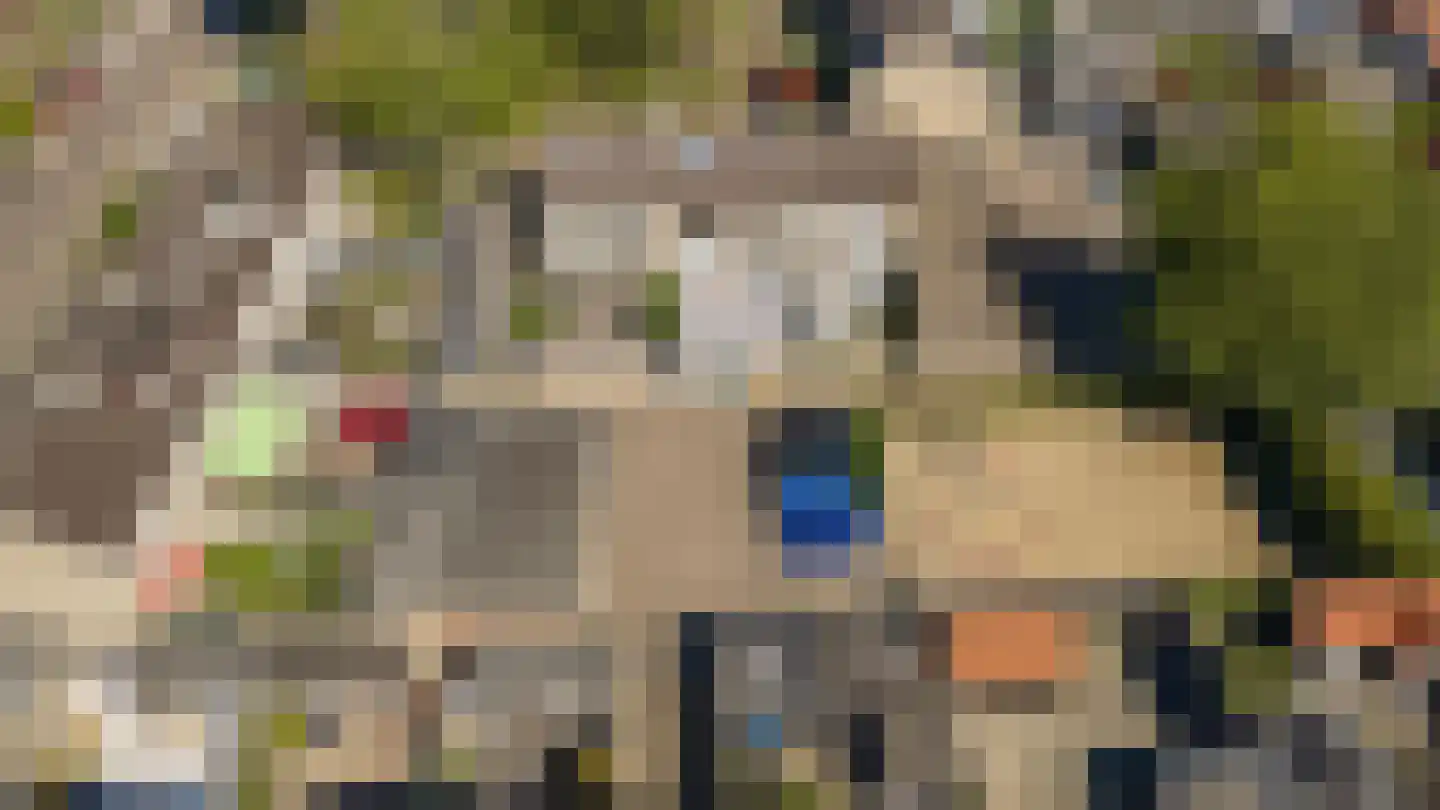 Zwarte Berk 4 Zundert thumbnail 43