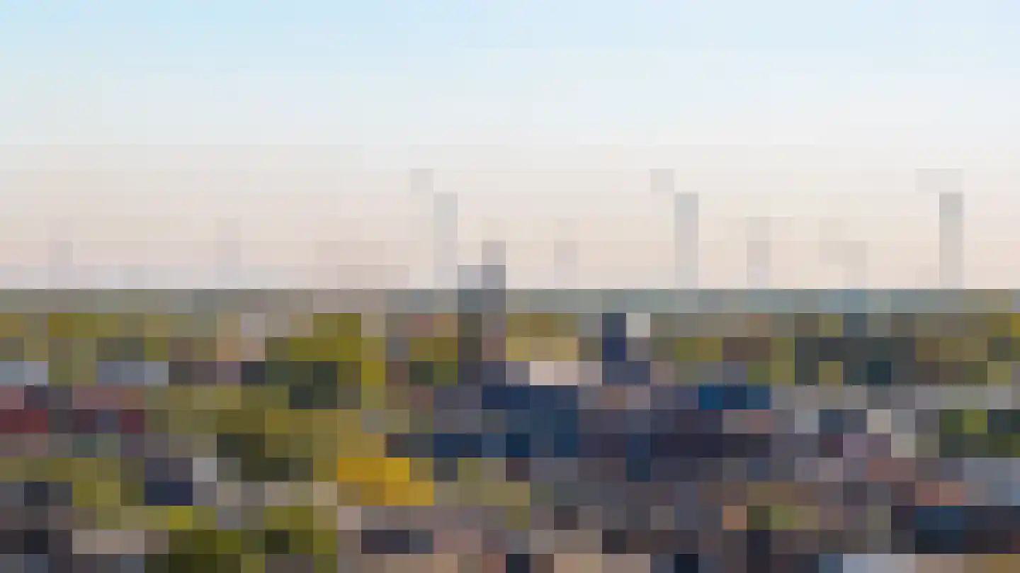 Zwarte Berk 4 Zundert thumbnail 44