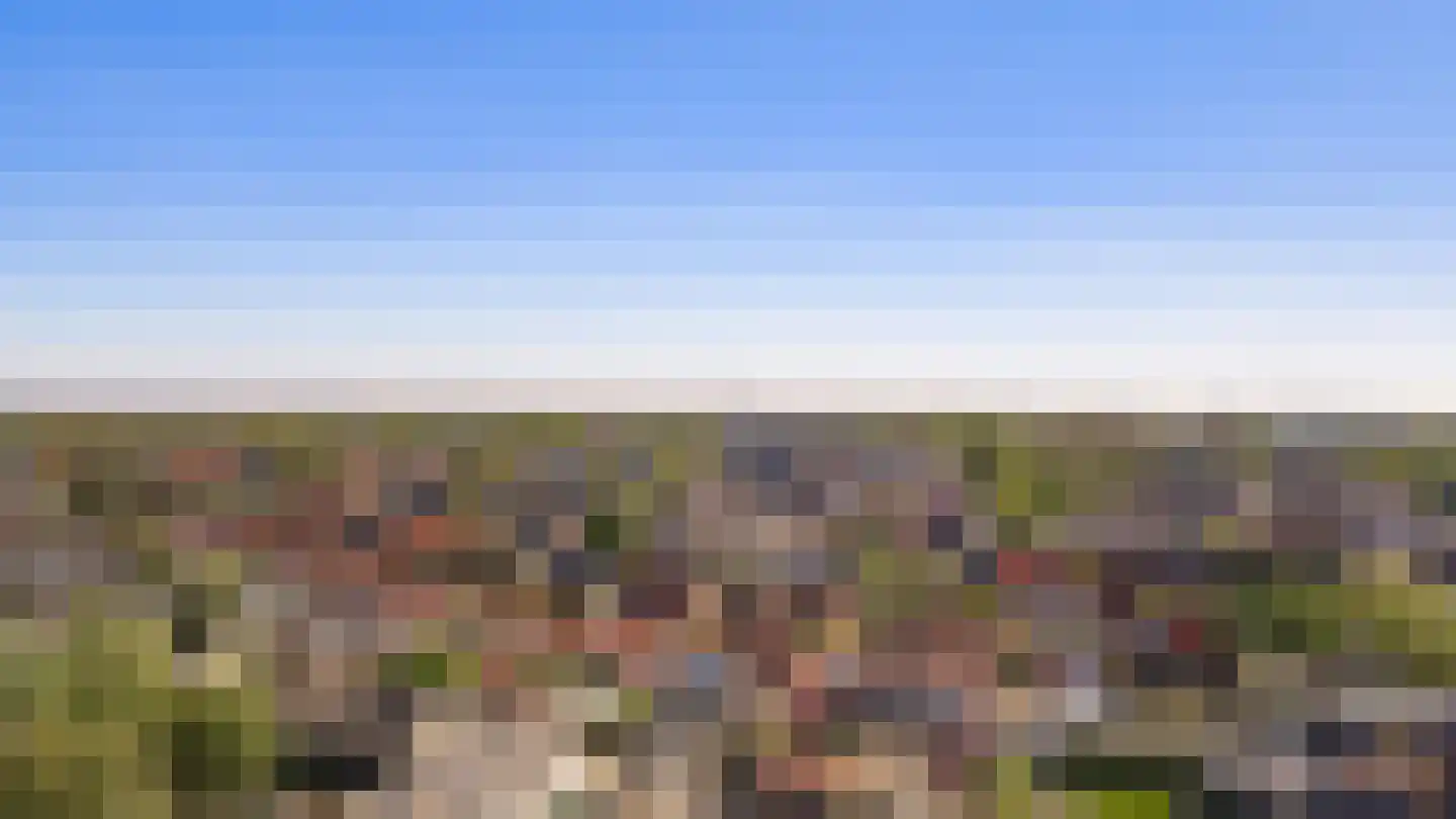 Zwarte Berk 4 Zundert thumbnail 45