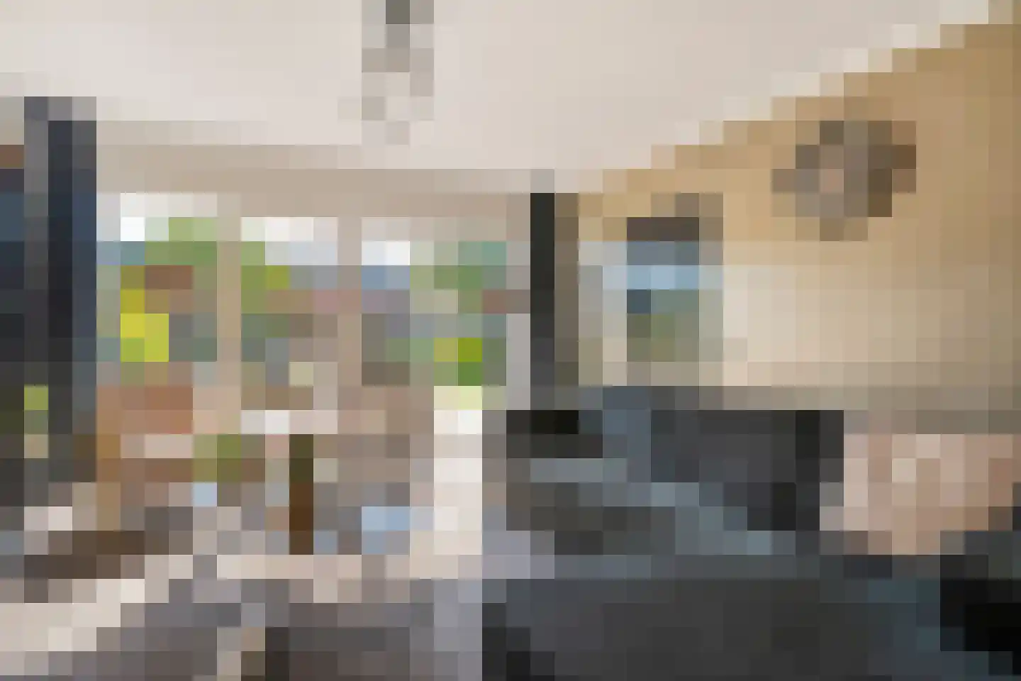 Zwarte Dijk 13 Lutten thumbnail 14