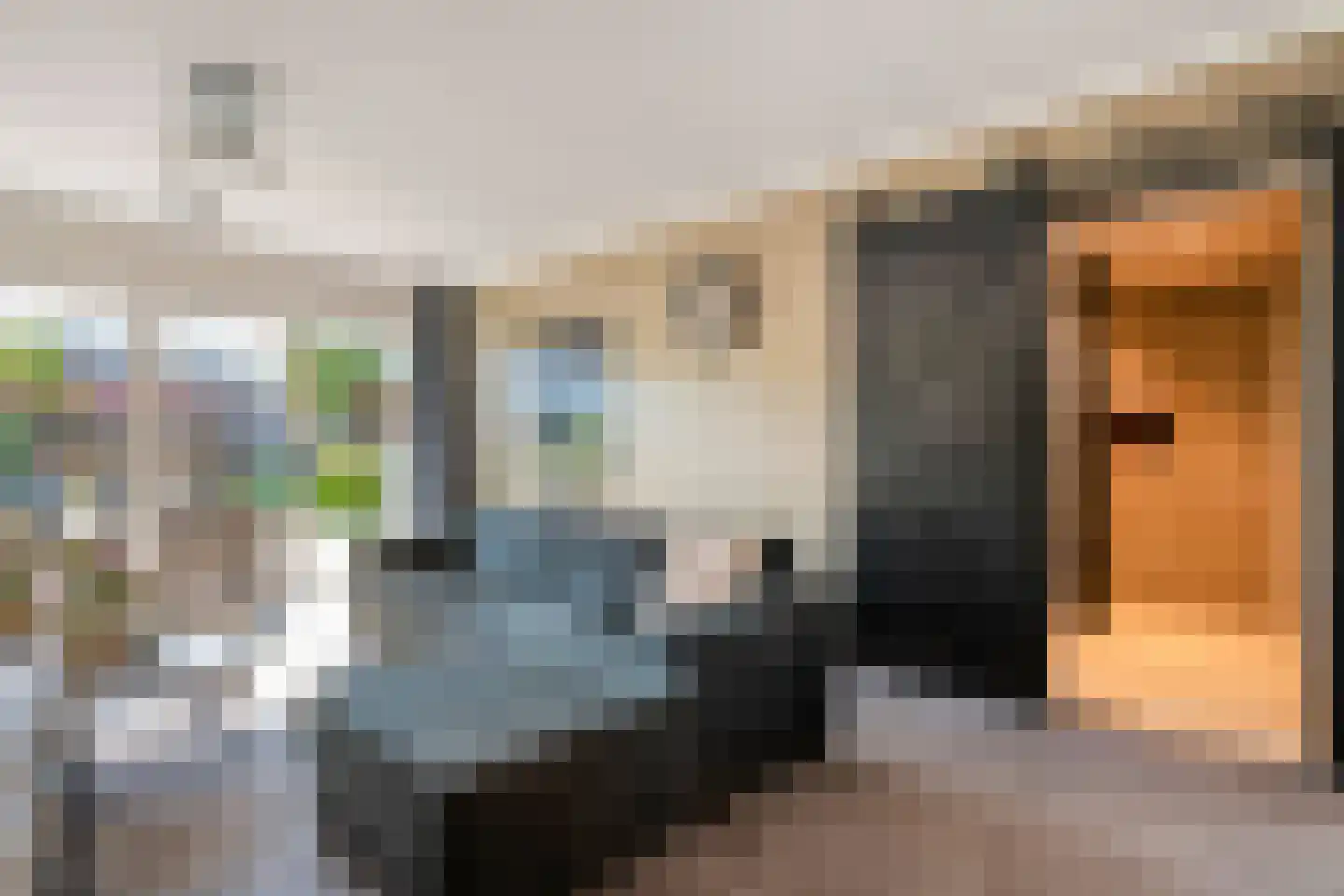 Zwarte Dijk 13 Lutten thumbnail 17