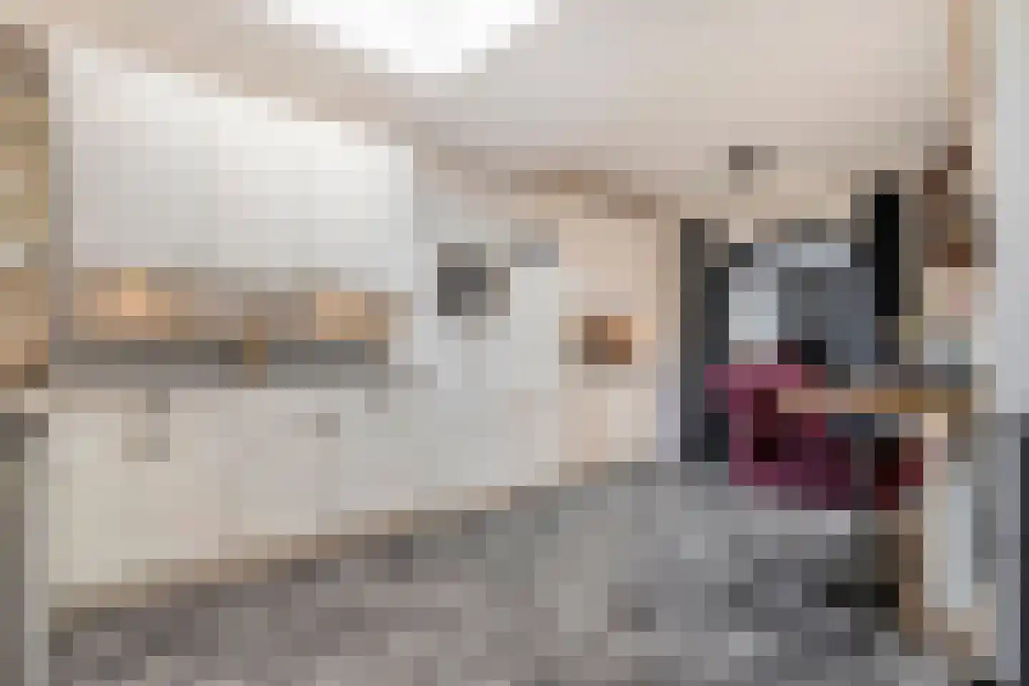 Zwarte Dijk 13 Lutten thumbnail 19