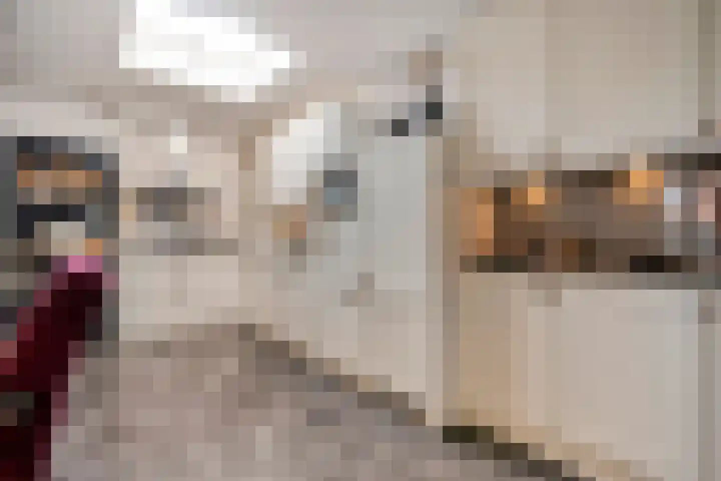 Zwarte Dijk 13 Lutten thumbnail 23