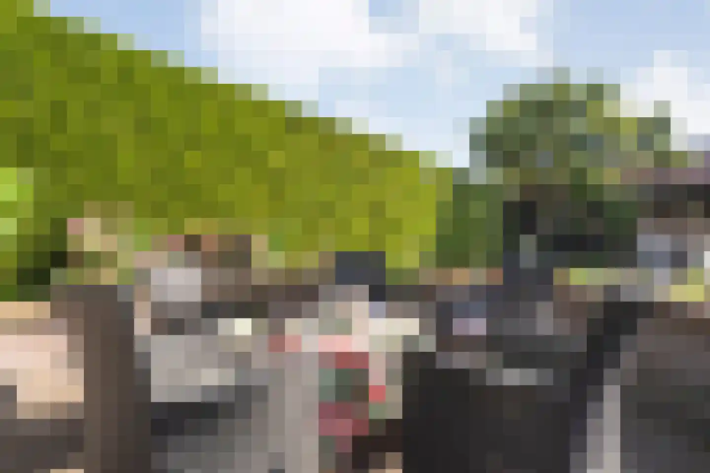 Zwarte Dijk 13 Lutten thumbnail 32