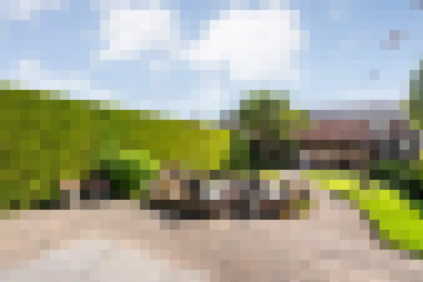 Zwarte Dijk 13 Lutten thumbnail 34