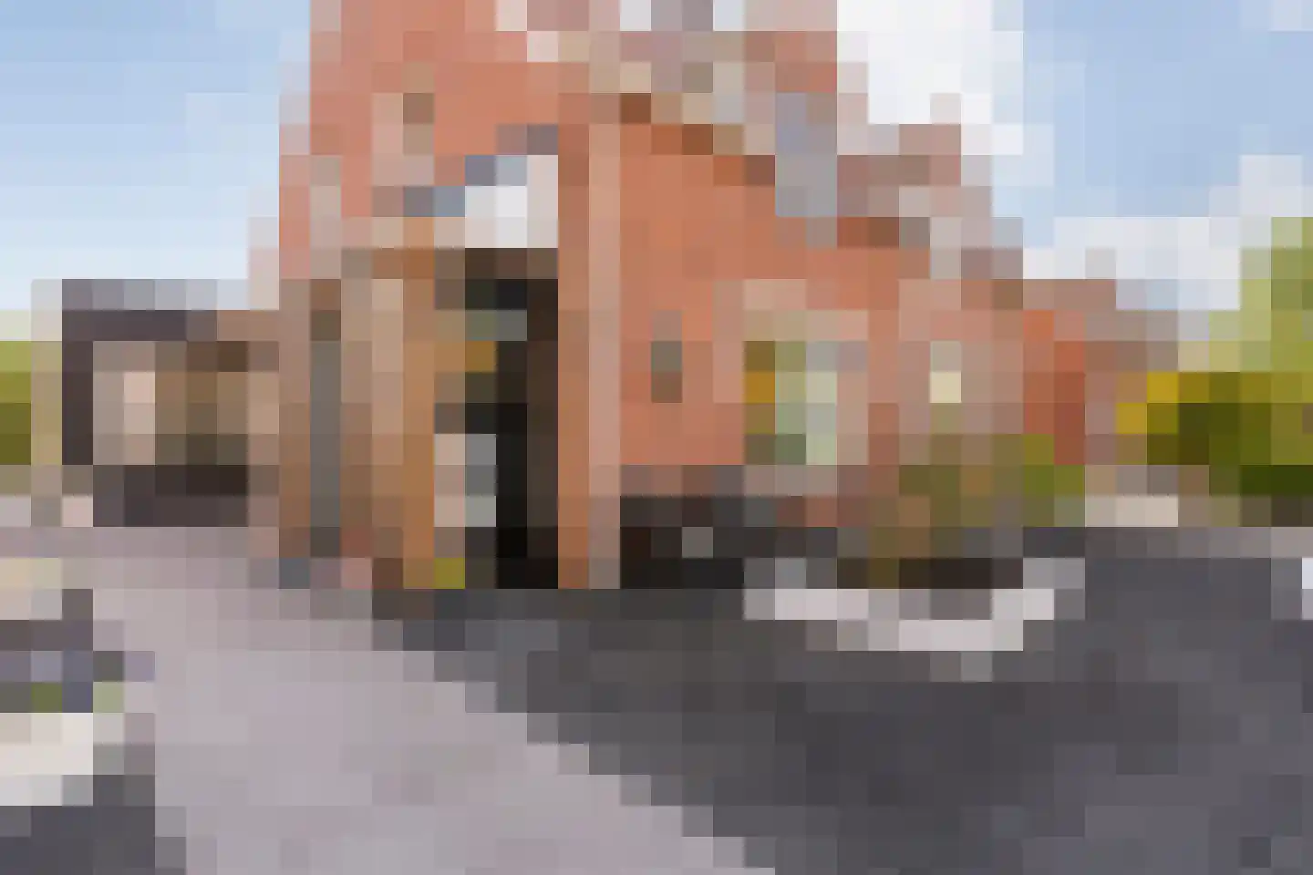 Zwarte Dijk 13 Lutten thumbnail 6